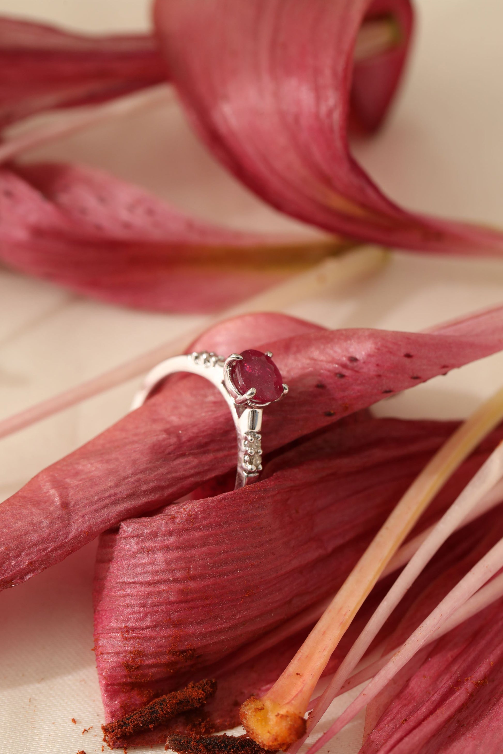 Ruby Sleek Ring 5